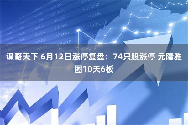 谋略天下 6月12日涨停复盘：74只股涨停 元隆雅图10天6板