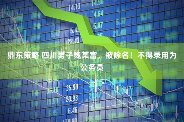 鼎东策略 四川男子魏某富，被除名！不得录用为公务员