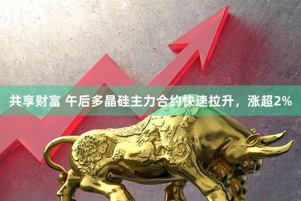 共享财富 午后多晶硅主力合约快速拉升，涨超2%