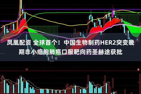 凤凰配资 全球首个！中国生物制药HER2突变晚期非小细胞肺癌口服靶向药圣赫途获批